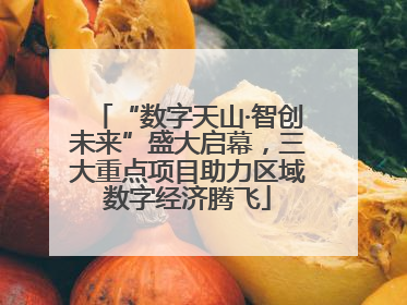 “数字天山·智创未来”盛大启幕，三大重点项目助力区域数字经济腾飞